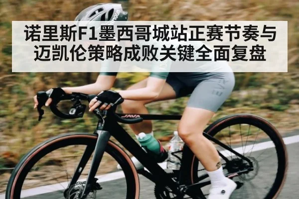 诺里斯F1墨西哥城站正赛节奏与迈凯伦策略成败关键全面复盘